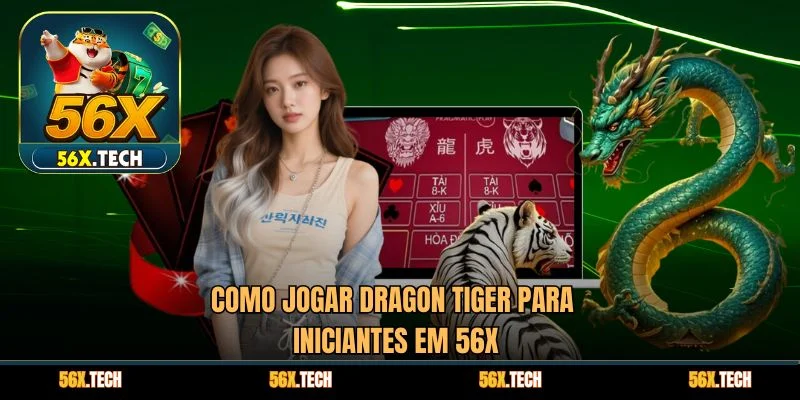 Como jogar Dragon Tiger para iniciantes em 56x